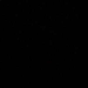 Meet your Posher, Lily